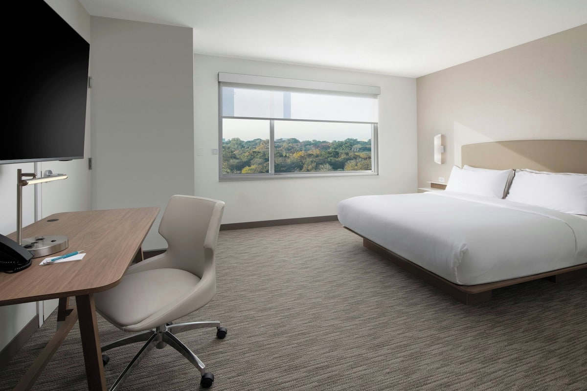 A hotel room with a bed, a desk with a chair, a TV, and a window with a view of trees.