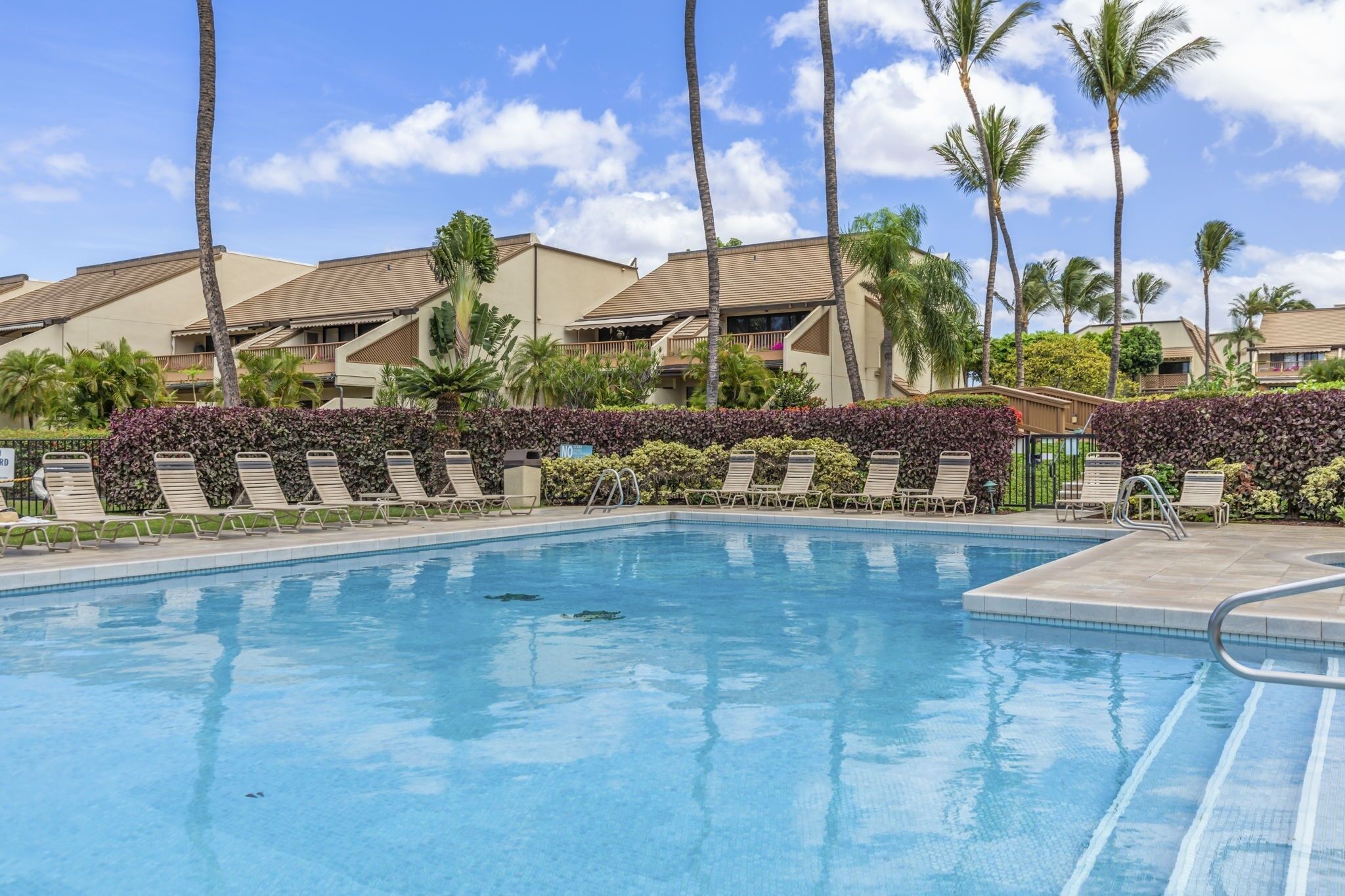 A swimming pool with lounge chairs and palm trees.