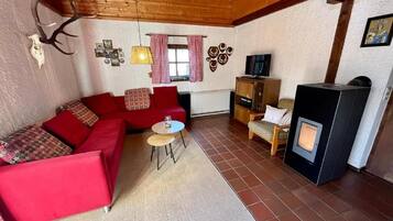 TV, fireplace, DVD player, books