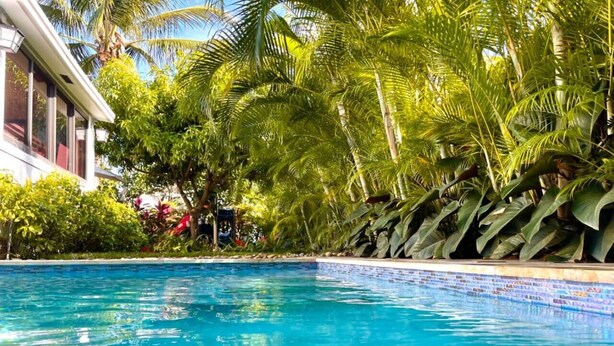 Piscina azul límpida rodeada por vegetação tropical exuberante e um edifício com grandes janelas.