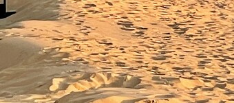 Cosy City Apartment Near Station, City Centre