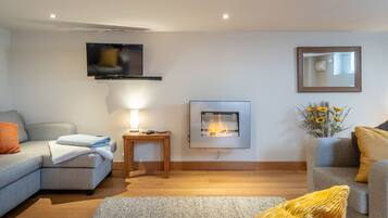 Smart TV, fireplace, books, video library