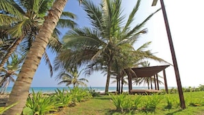 Un espace aménagé au bord de la plage, avec des palmiers, une structure en bois et une vue sur l’océan.
