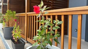 Varanda de madeira com plantas em vasos e guarda-corpo.