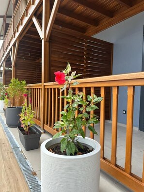 Exterior detail - Hostel Toucan Rés Francis avec Piscine (Cayenne)