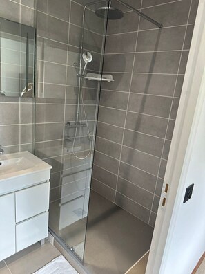 Bathroom features a glass-enclosed shower with handheld showerhead and wall-mounted controls, a vanity with sink and mirror.