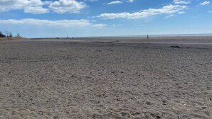 A wide, open beach with a clear sky and scattered clouds. - Waterfront Cottage w/ boat dock

 (Blenheim)