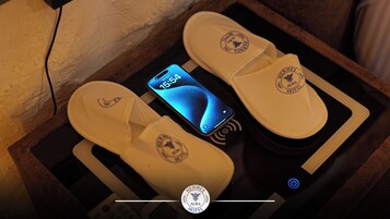 埃及棉床单、高档床上用品、羽绒被、迷你吧