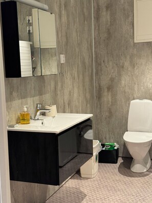 Shower, towels, toilet paper