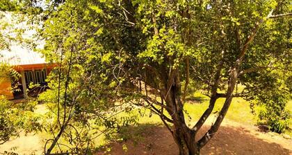 Tiara Elephant Lodge