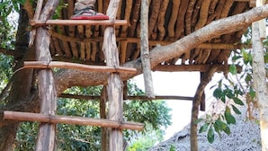 A man on a wooden ladder in a thatched-roof structure surrounded by trees. - Tiara Elephant Lodge (Habarana)
