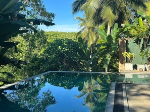 Pool - Peaceful jungle villa - 3 Ensuite Bedrooms, Infinity pool & 10 mins to the beach (Thiththagalla)