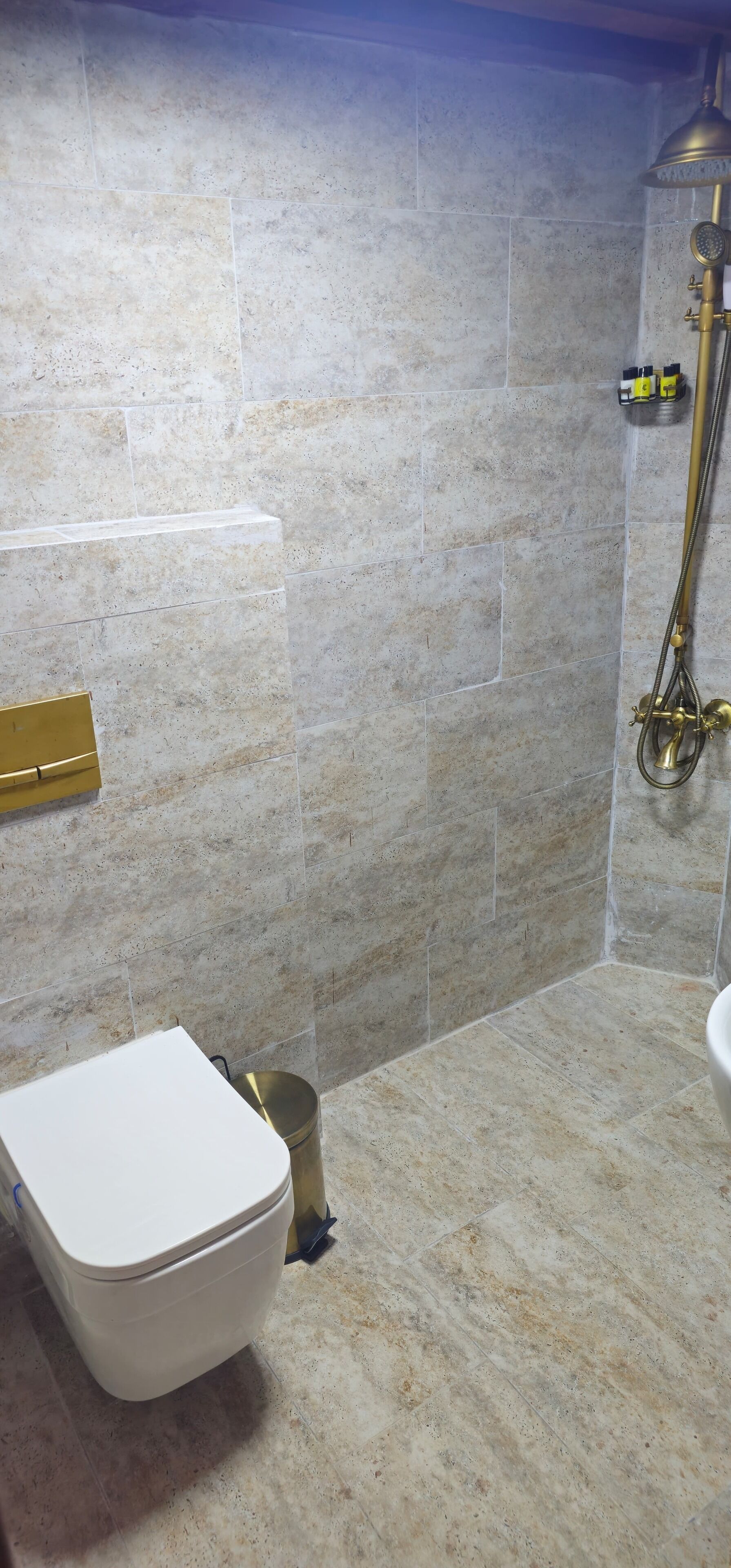 Casa de banho com sanita, chuveiro e um esguicho dourado, e parede revestida a azulejos.