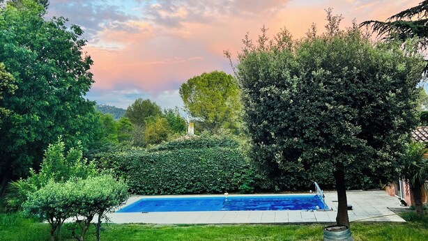 Una piscina envoltada de vegetació abundant i arbres.