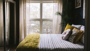 Ein Zimmer mit einem Bett, einem Fenster und einer Pflanze.