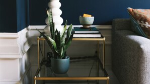 Ein Blick in einen Raum, der eine Lampe, eine Pflanze, einen kleinen Tisch mit Büchern und ein Sofa zeigt.