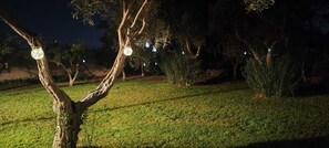 Overnattingsstedets uteområder