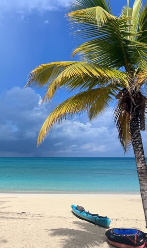 Una playa con cielo azul despejado, una palmera y un kayak en la arena.