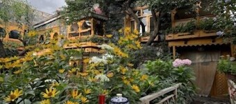 Lavender Cottage & Guest House