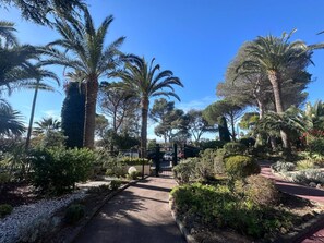 A pathway flanked by palm trees and shrubs, leading to a gated entrance. - Apartment right on the beach (Saint-Raphaël)