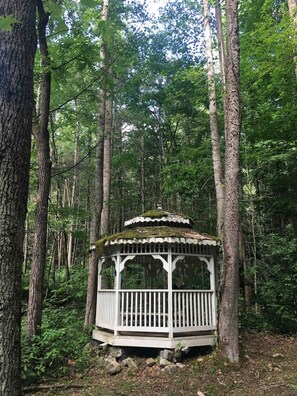 Property grounds - Cozy cabin in the Cherokee National Forest. (Del Rio)