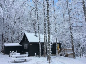 Exterior - Cozy cabin in the Cherokee National Forest. (Del Rio)