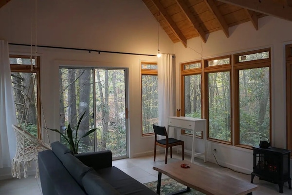 TV, fireplace, books