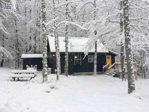 Exterior - Cozy cabin in the Cherokee National Forest. (Del Rio)