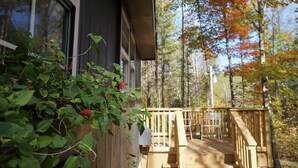 A wooden deck with a railing, overlooking a forested area. - Cozy cabin in the Cherokee National Forest. (Del Rio)