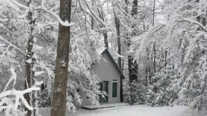 A small cabin surrounded by snow-covered trees. - Cozy cabin in the Cherokee National Forest. (Del Rio)