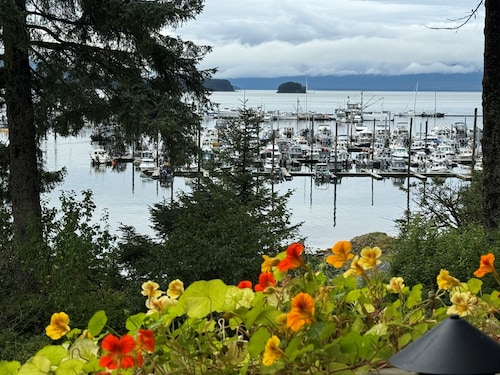 Cozy 2-bedroom condo with a terrific view in awesome Juneau Alaska


