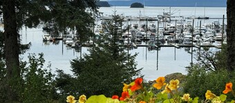 Cozy 2-bedroom condo with a terrific view in awesome Juneau Alaska



