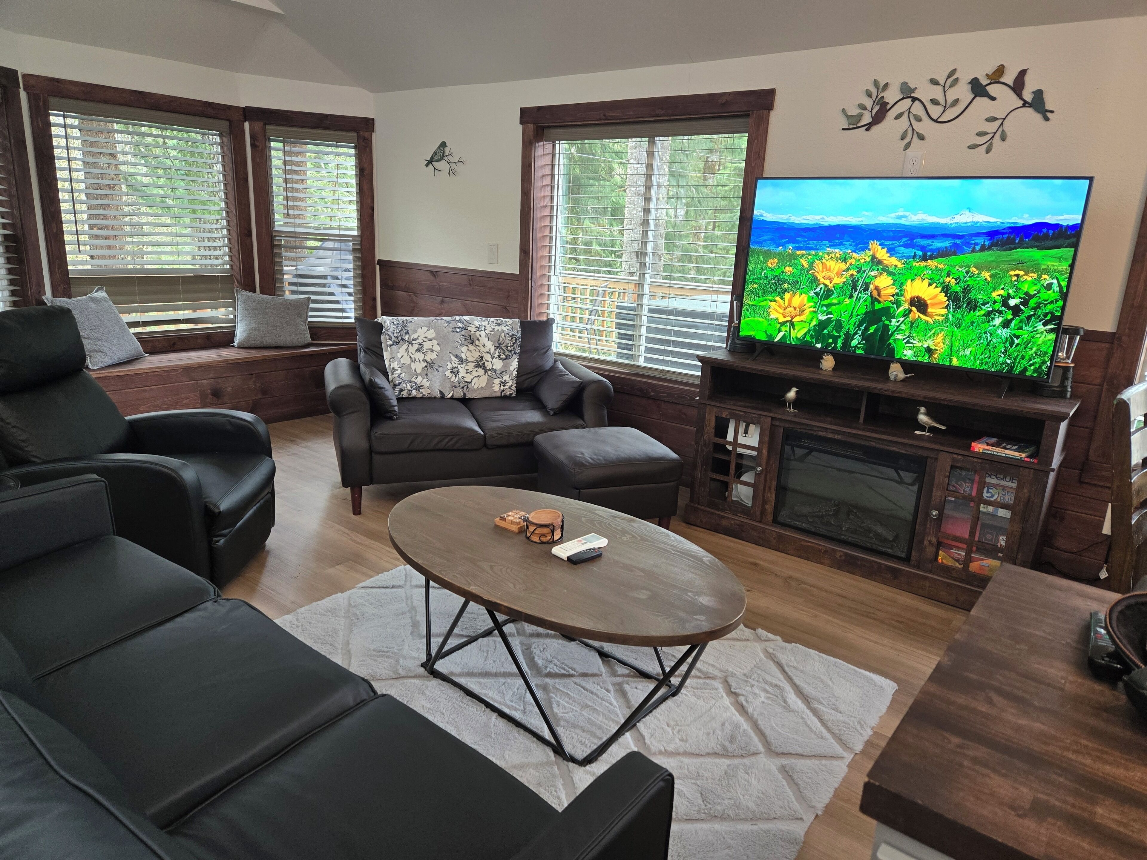 Smart TV, fireplace