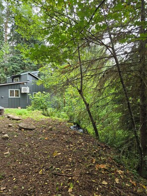 A cabin surrounded by dense forest with a dirt path leading to it.