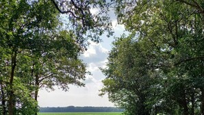 Et landligt landskab med en smal vandkanal omgivet af frodig vegetation og træer.