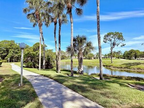 Property grounds - Beautiful 1-bedroom condo in The Meadows, minutes from the beach, golf, shopping (Sarasota)