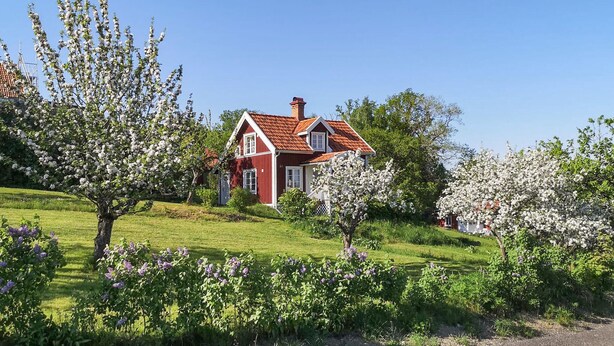 A red house with a white chimney, surrounded by blooming trees and a grassy field. - 2 bedroom nice home in Mariannelund (Mariannelund)