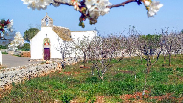 A white church with a bell tower, surrounded by a stone wall and flowering trees. - Tea Tree Apartments 1 (Castellana Grotte)