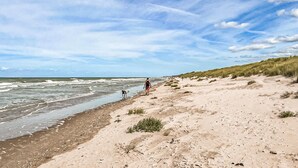 Uma praia com uma pessoa caminhando pela orla, um cão e dunas ao fundo.