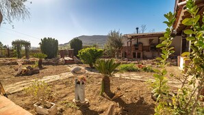A rustic outdoor area with a wooden bench, a small palm tree, and a stone wall. - Beautiful home in Alora with WiFi (Alora)