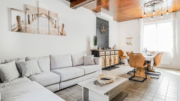 电视