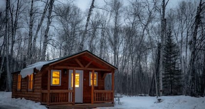 Peaceful Retreat 1-bedroom cabin in Hovland