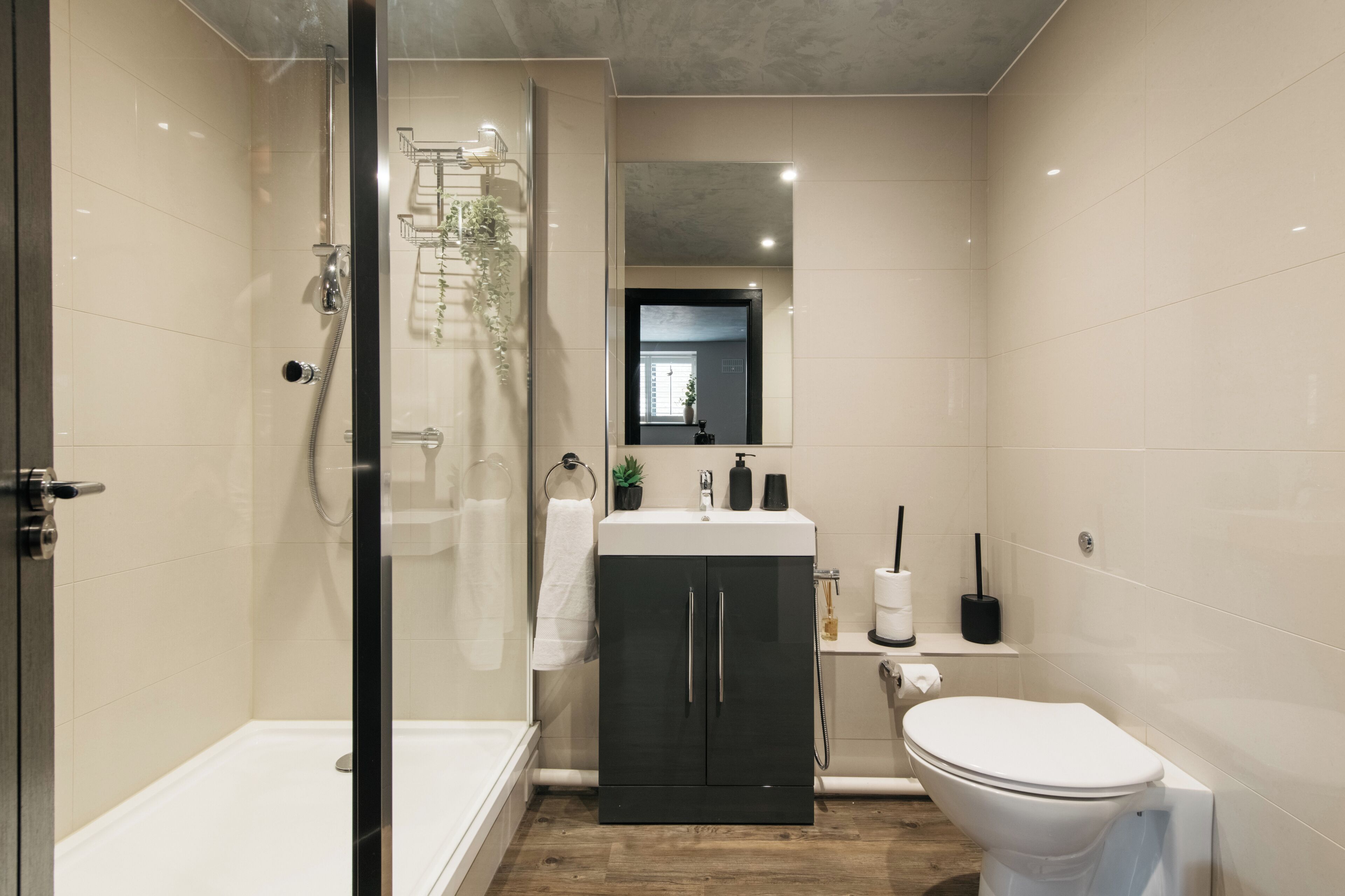 Shower, hair dryer, bidet, towels