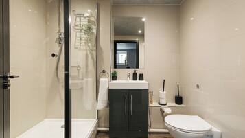 Shower, hair dryer, bidet, towels