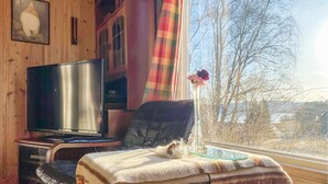 Une pièce confortable, dotée d’une télévision, d’un fauteuil et d’une fenêtre donnant sur des arbres et une étendue d’eau.