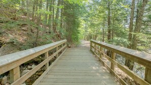 A wooden bridge in a forest with dense trees and a rocky ground.