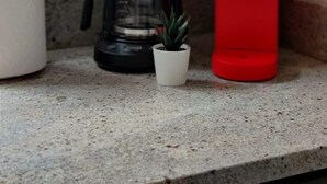 A kitchen counter with a coffee maker, a red KEURIG water bottle, and a small potted plant. - 1601 Lombard  (Philadelphia)