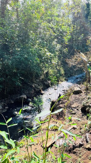 Dineren voor koppels