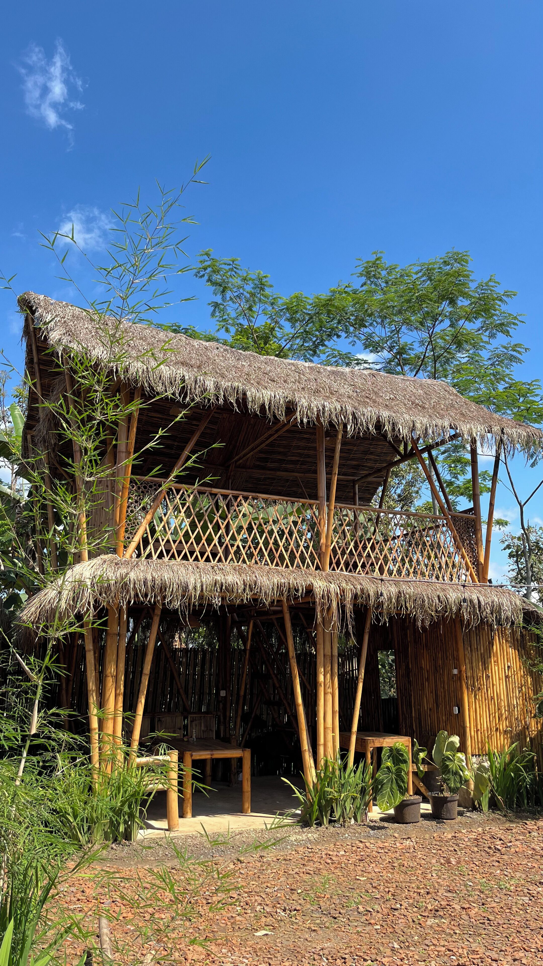 A bamboo structure with a thatched roof, a wooden deck, and a lattice fence.