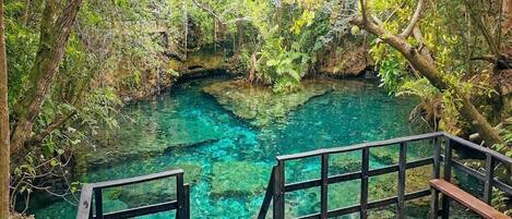 المنطقة المحيطة بالمنشأة